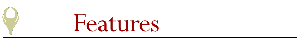 Feature Header